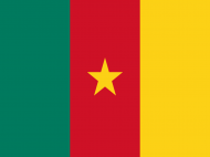 cameroun-flag (1)