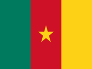 cameroun-flag (1)